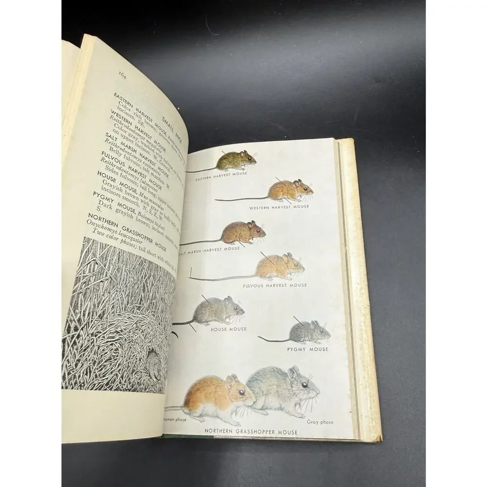 A Field Guide to the Mammals Burt & Grossenheider 2nd Edition 1964 EUC